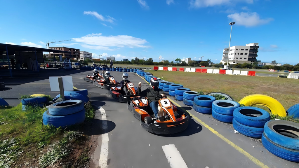 commercial go kart commercial go kart manufacturer commercial go kart supplier rental go kart go kart for amusement park